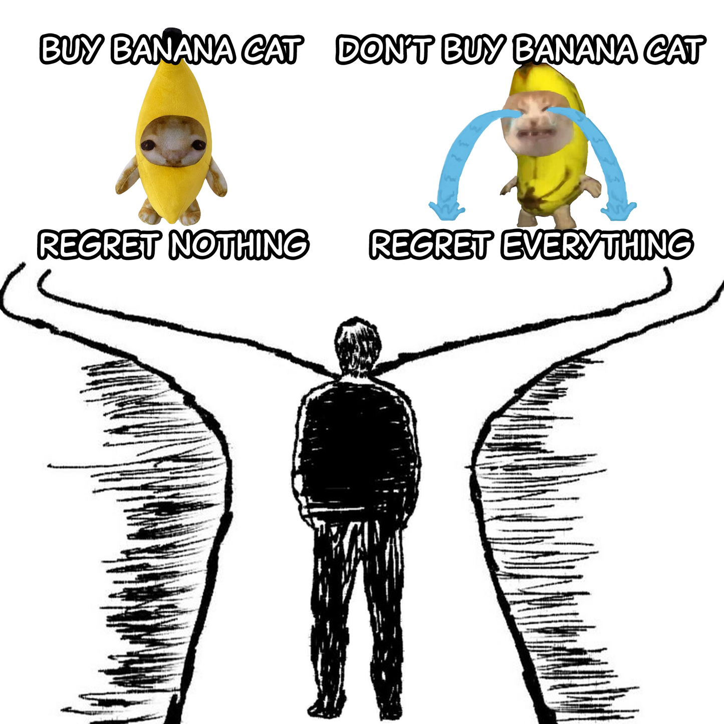 Banana Cat meme – funny side-by-side meme showing the choice between buying or not buying the plush, with FOMO theme