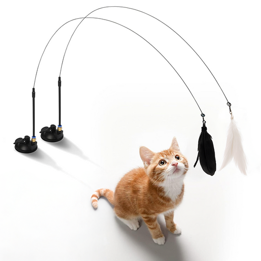 Feather Toy with Suction Cup